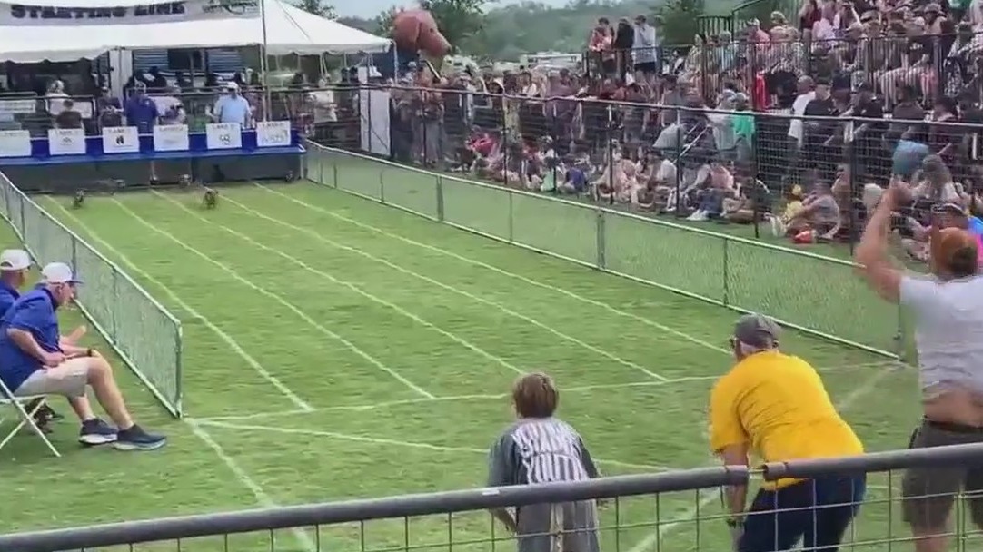 Buda Weiner Dog Races are back