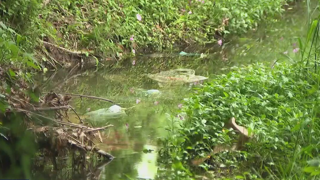 Warrant issued in Austin animal cruelty case