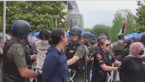 Should immigrants at campus protests be deported?