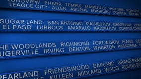 Texas: The Issue Is: Guaranteed income plan