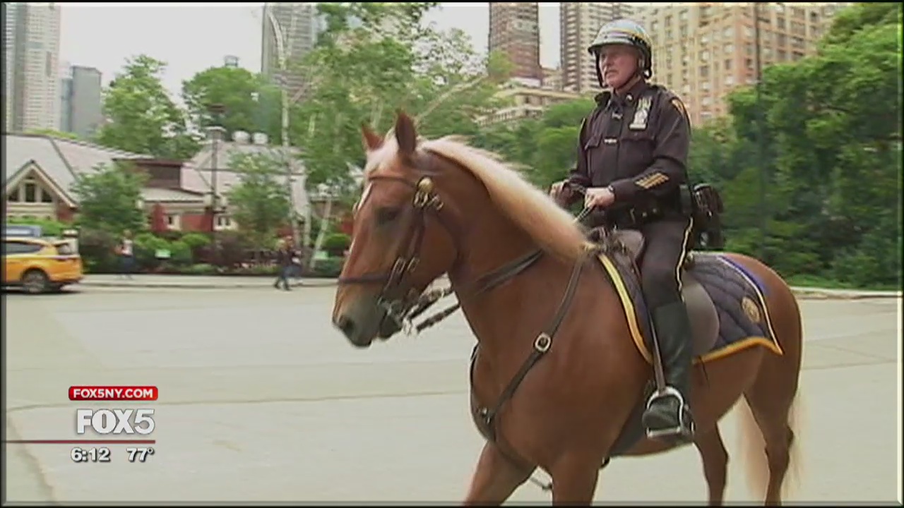 NYPD Mounted Unit
