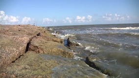 FOX 7 Espa?ol - 6/10/24 Titulares