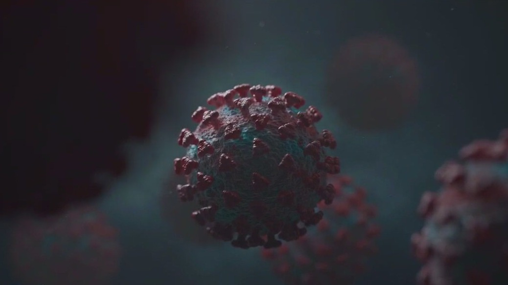 Bird flu traces found in Austin wastewater