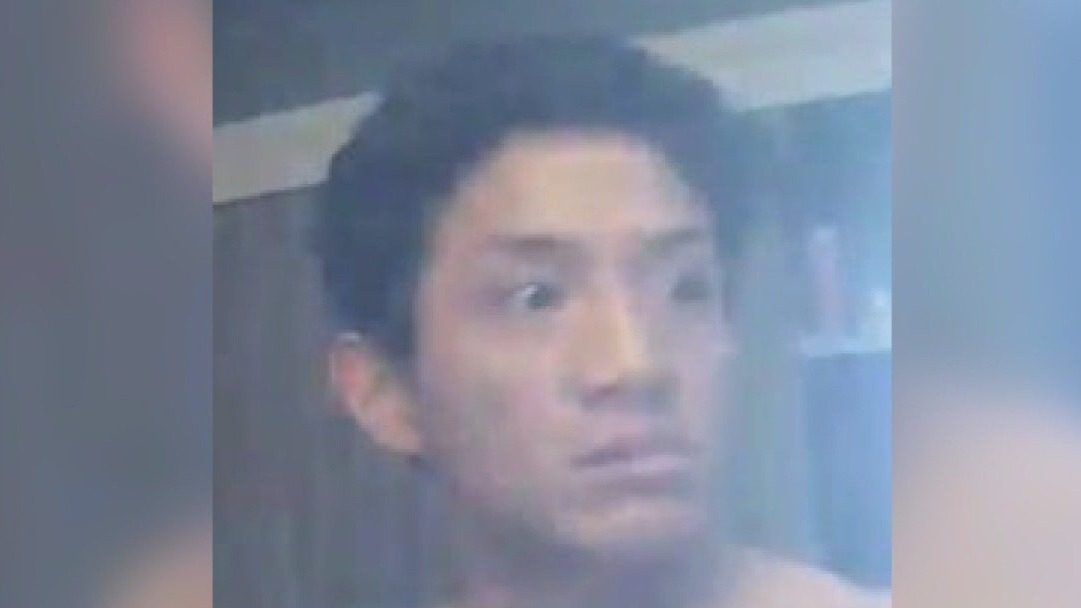 Police searching for burglar