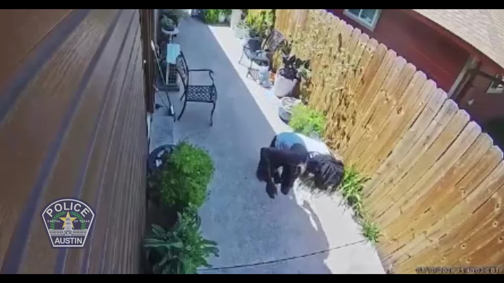 APD Dryfield Drive shooting suspect