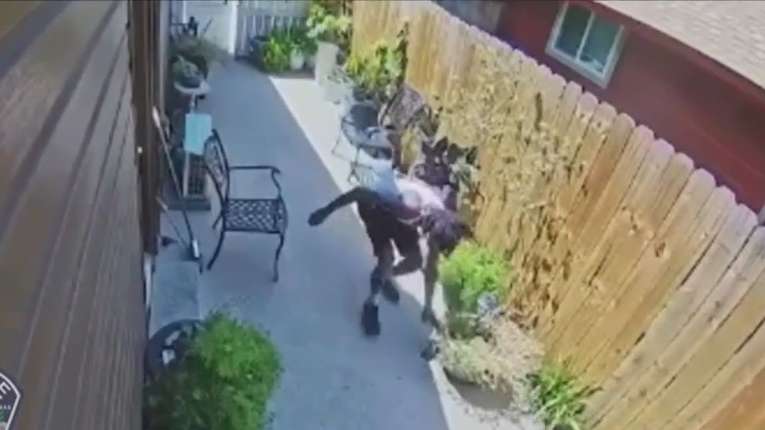 APD still searching for shooter