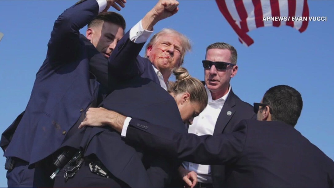 Criticism of Secret Service