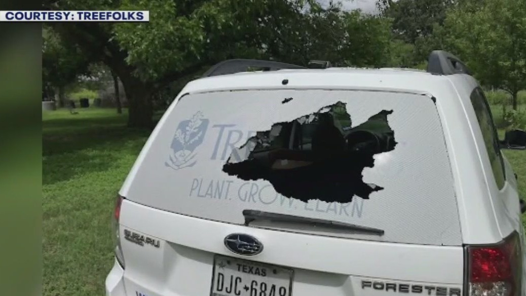 Burglars hit tree nonprofit