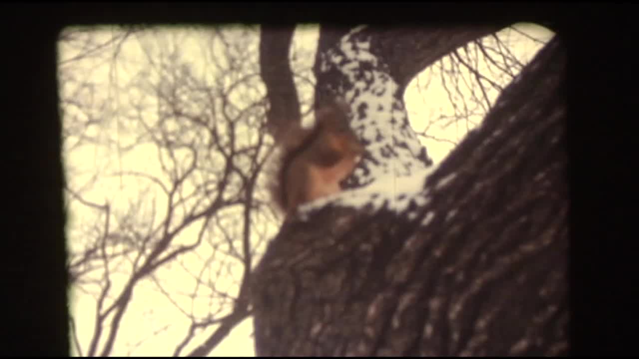 Snow storm in downtown Austin in 1973