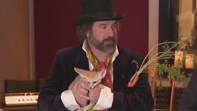 David Starbuckle talks about rock concept album