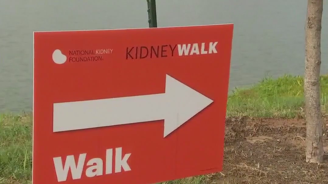 2024 Austin Kidney Walk