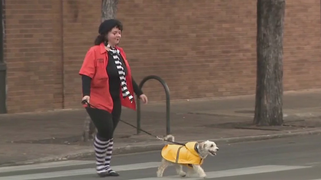 Halloween safety on 6th Street