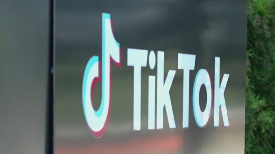 TikTok loses bid to strike down ban
