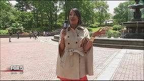 Where'd You Get That? (June 21)