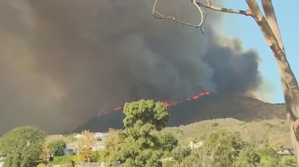 California Palisades wildfire