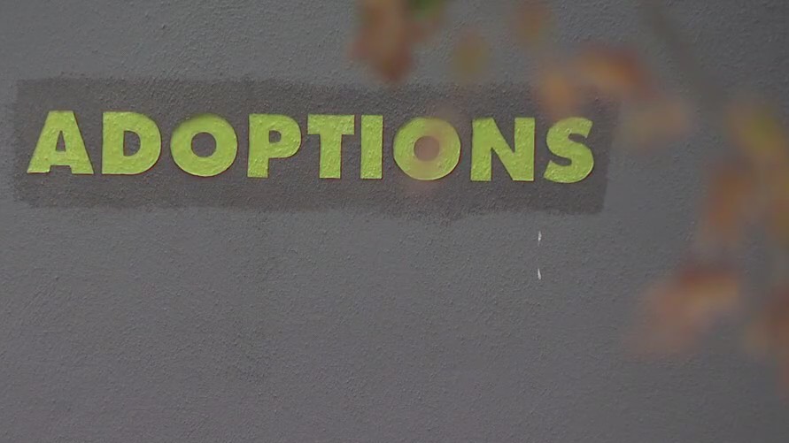 APA! calls for support ahead of winter weather