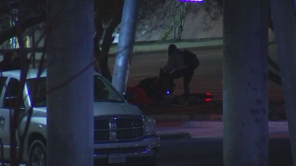 Volunteers needed for Austin ECHO PIT Count