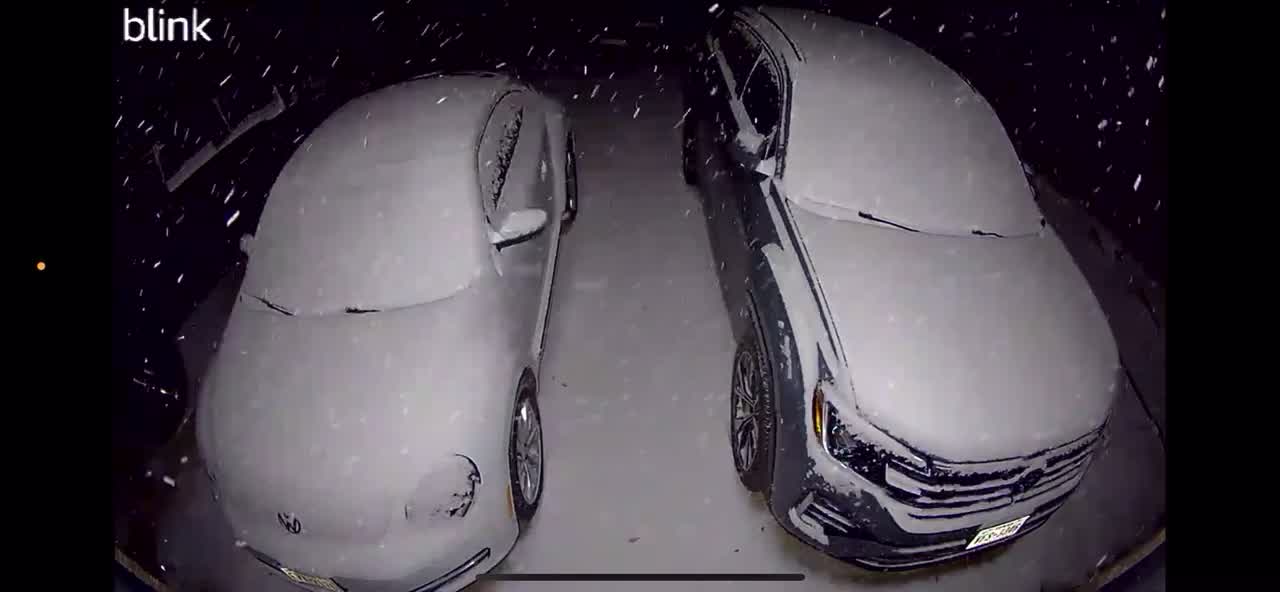 Austin weather: Snow blankets cars