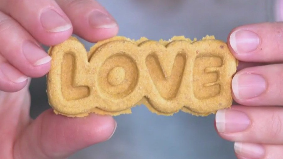 LA wildfires: Austin dog treat sales help CA shelter