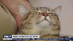Pet of the Weekend: Stretch