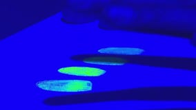 MIT: Cold case internship at TXST