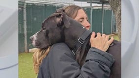 Pet of the Weekend: Howdy