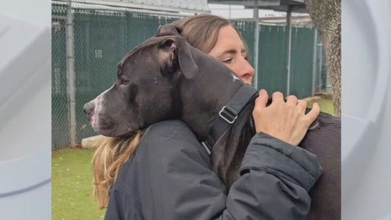 Pet of the Weekend: Howdy