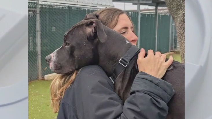 Pet of the Weekend: Howdy