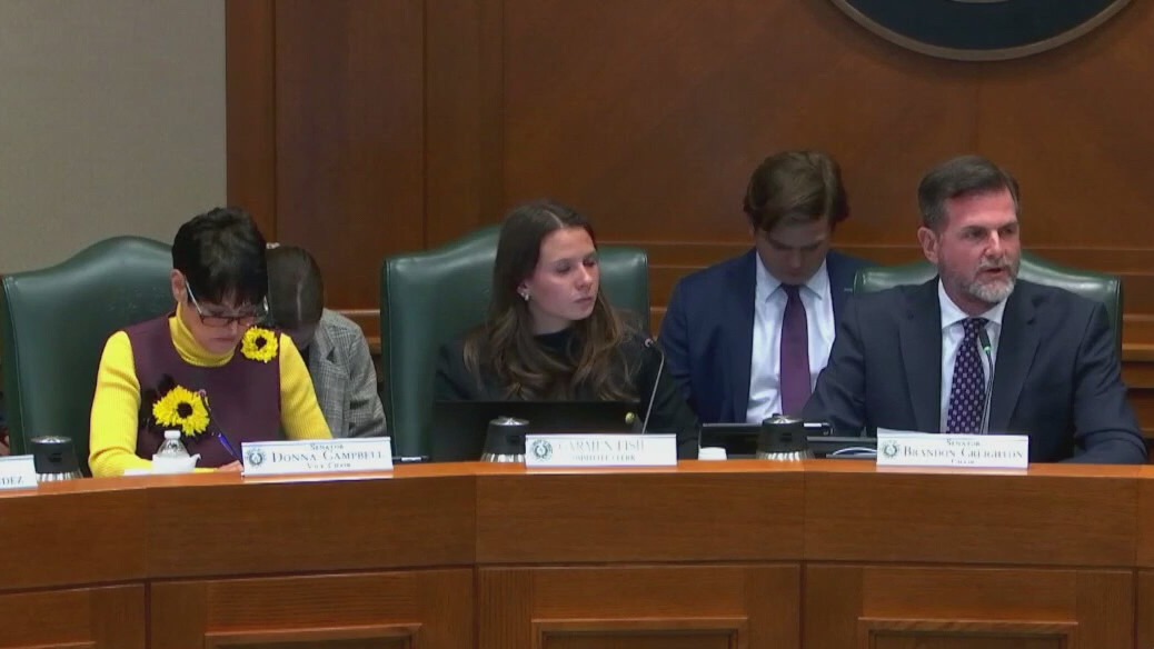 Texas legislature: ESAs and school vouchers