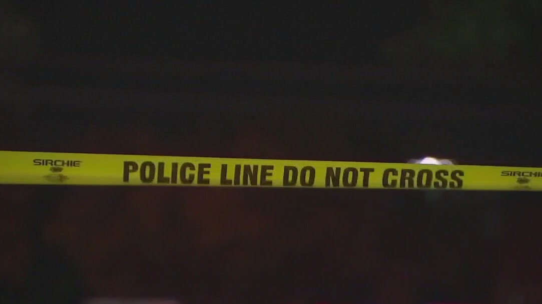 Recent murder-suicides ruled DV