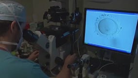 Trump issues executive order on IVF treatments