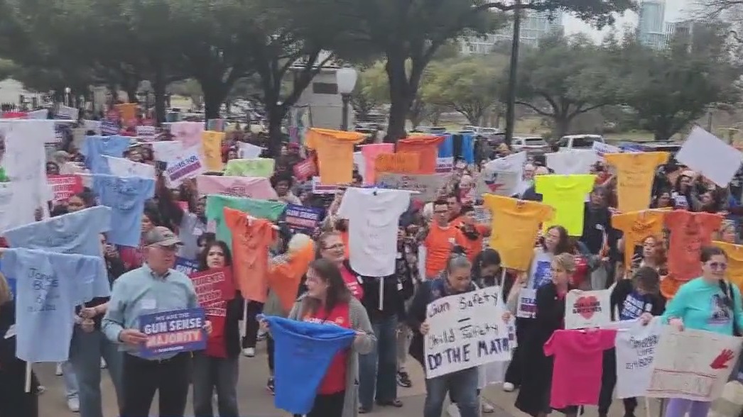 Rally for common-sense gun safety reforms