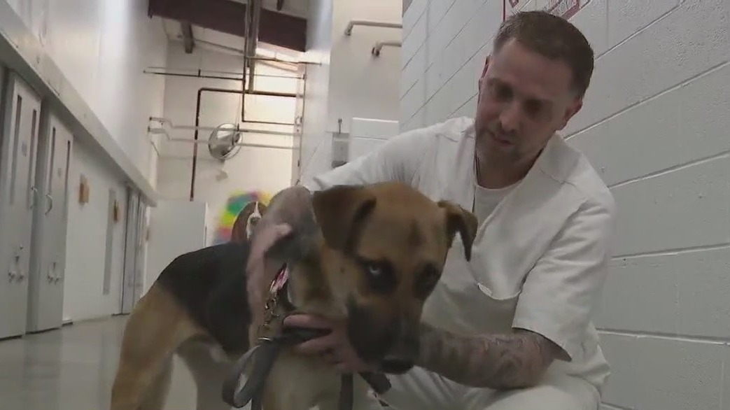 WilCo animal shelter & Bartlett prison team up