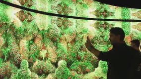 SXSW 2025: Dubai Museum of the Future