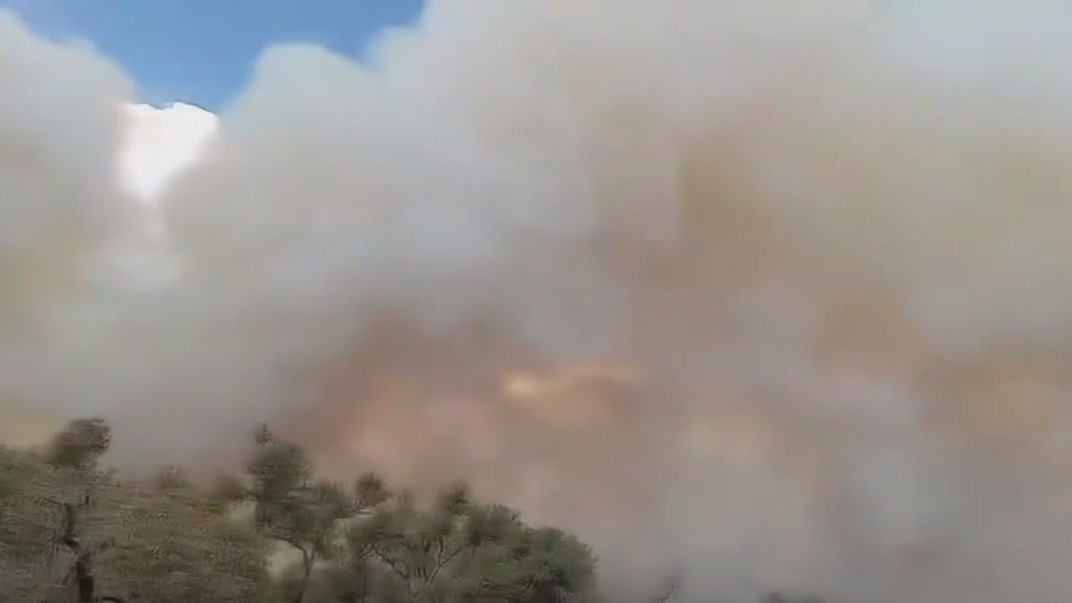 Cause of Crabapple Fire is undetermined