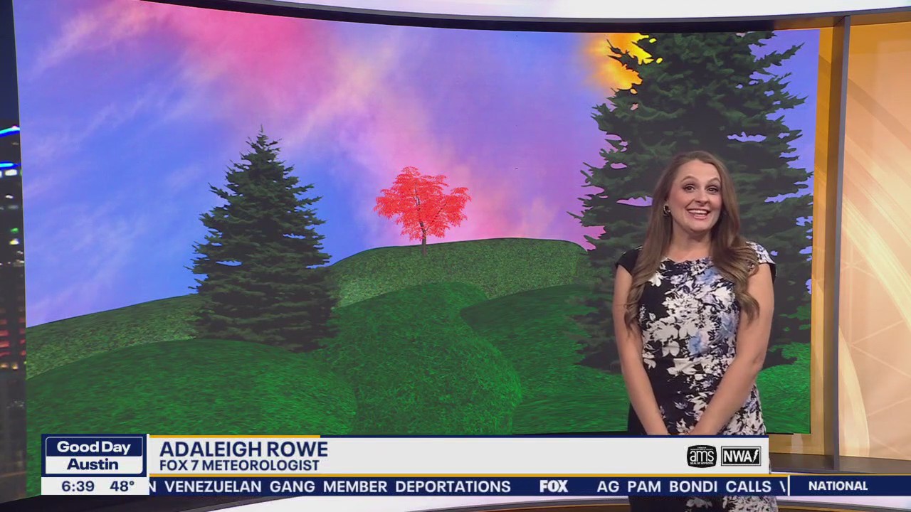 Austin weather: Cool Spring day ahead