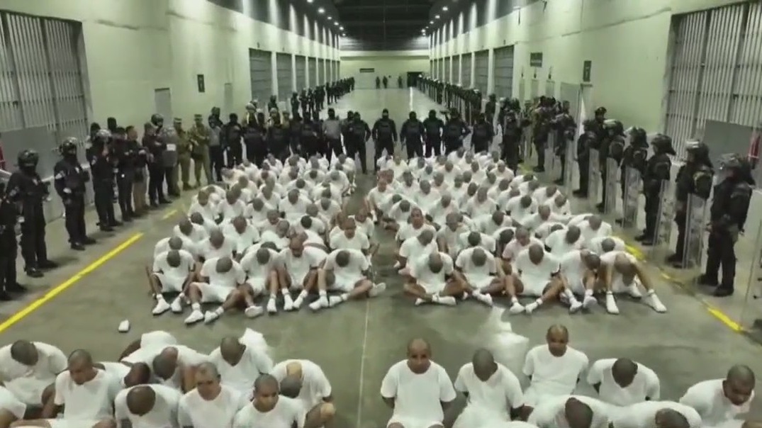 The White House vs the Judicial Branch