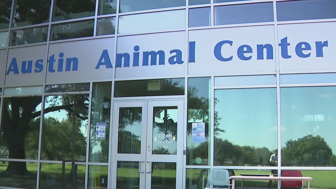 City council helps struggling Austin Animal Center