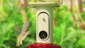 Must-have gadgets for Spring