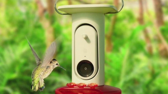 Must-have gadgets for Spring