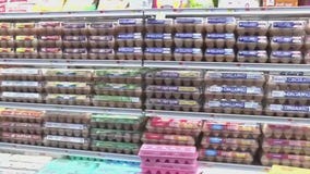Egg prices coming down for Easter