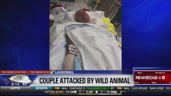 Couple injured in possible bobcat attack in South Florida