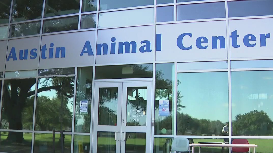 Austin Animal Center's new management system