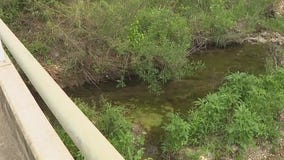 Body found near creek in east Austin