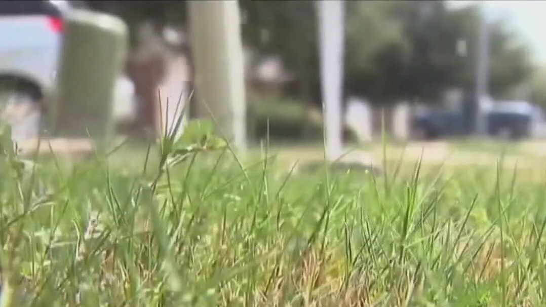 Bill passed restricting HOA fines for brown grass