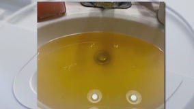 Concerns over water quality in east Travis County