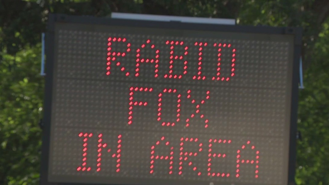 Possibly rabid fox attacks people in San Marcos