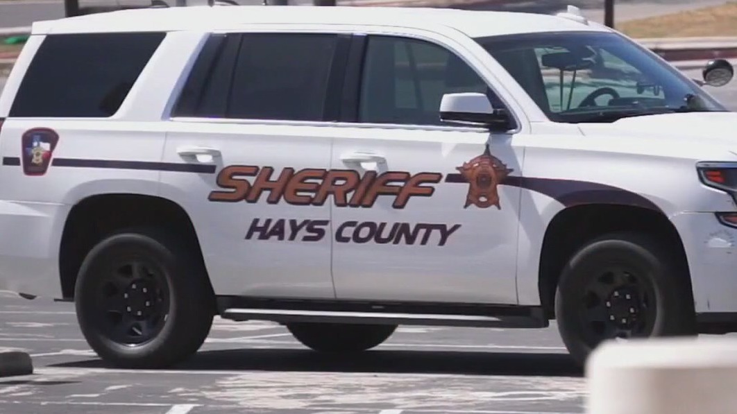 Rabid foxes in Hays County