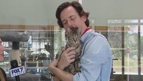 Pet of the Weekend: Meep