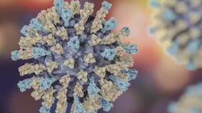 Liberty Hill ISD child tests positive for measles